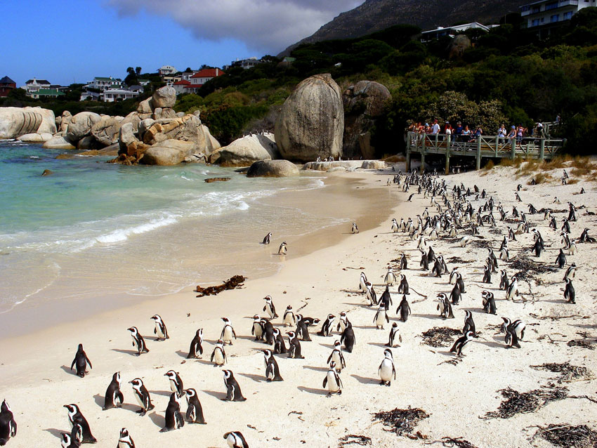 ��� + ������ + �������� + ����� Petro Rovos Rail - 11 ��.