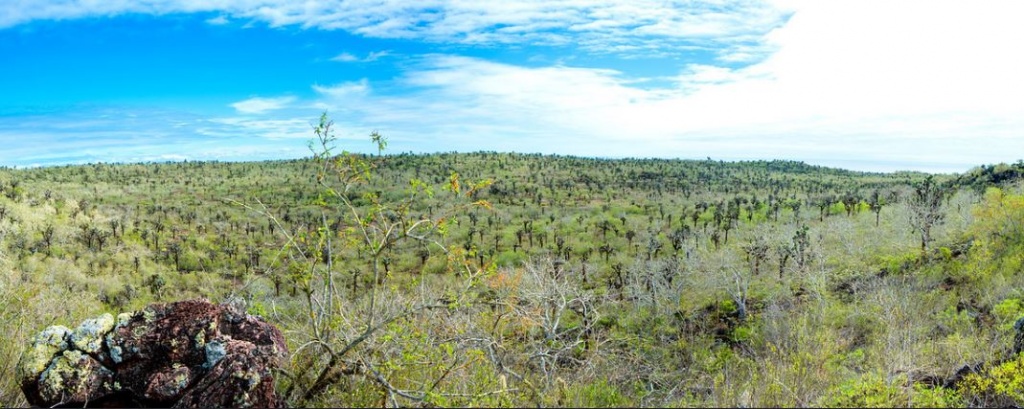 Santa Fe Isla 1.JPG