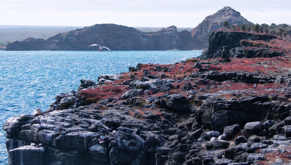 Santa Fe Isla.JPG