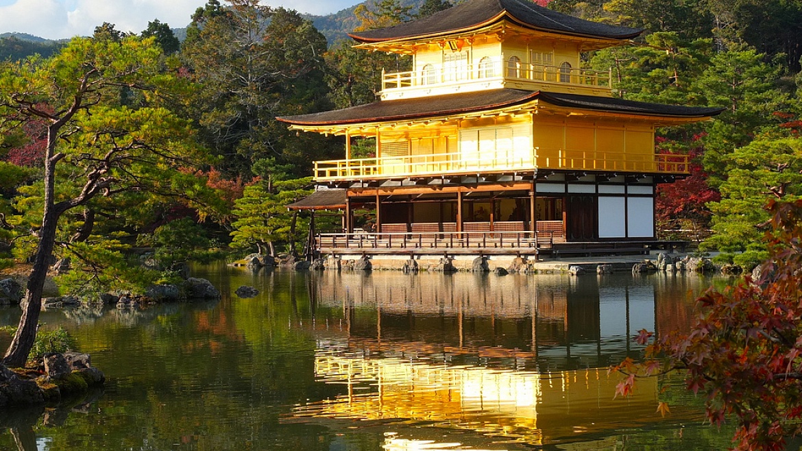 �����-�����-������