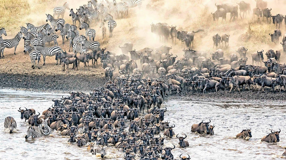 �������� - ��� ����� ����� � ������