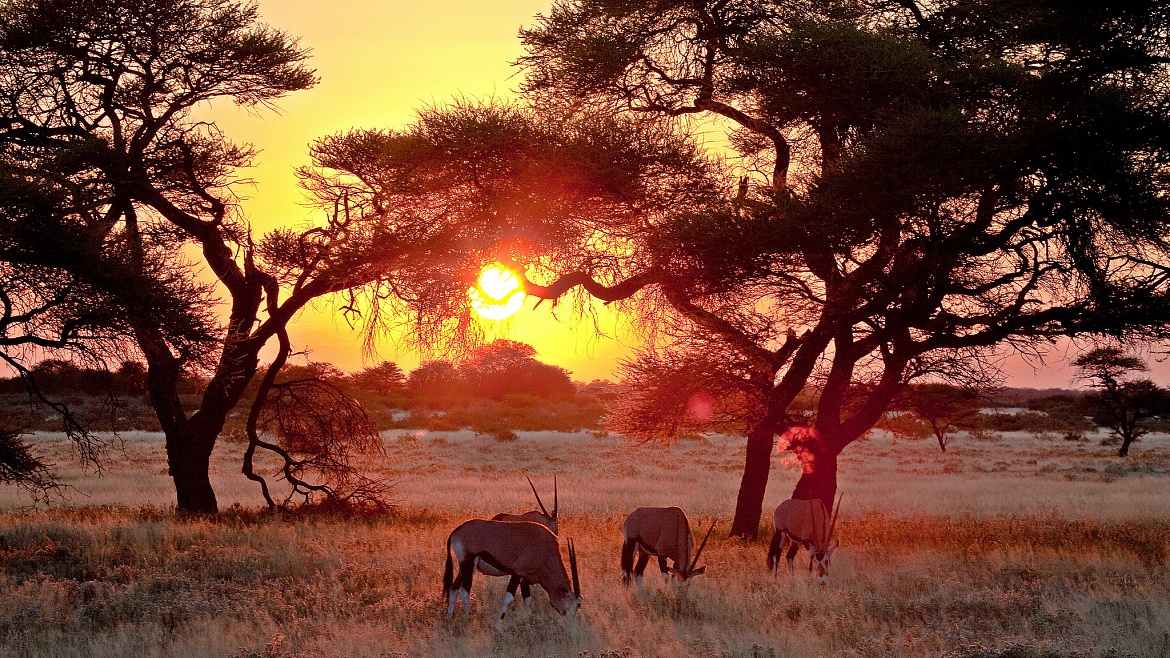 ��� + �������� + �������� - 10 ��.